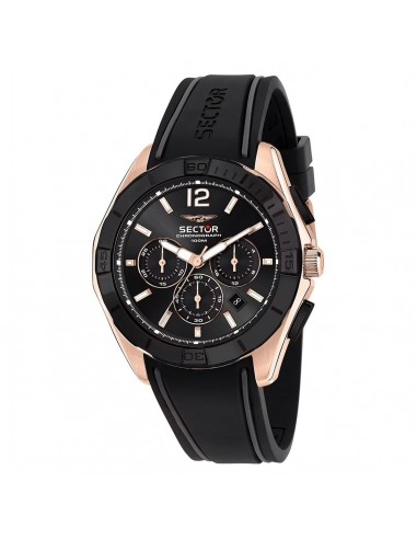 Montre Homme Sector R3271636001 Noir prix pour 