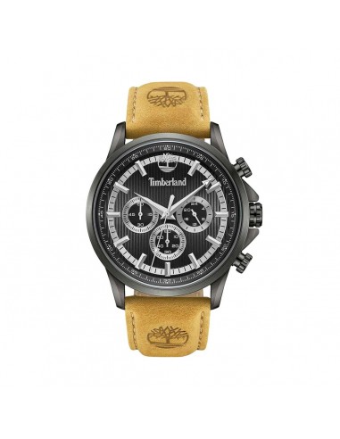 Montre Homme Timberland TDWGF0054603 les ctes