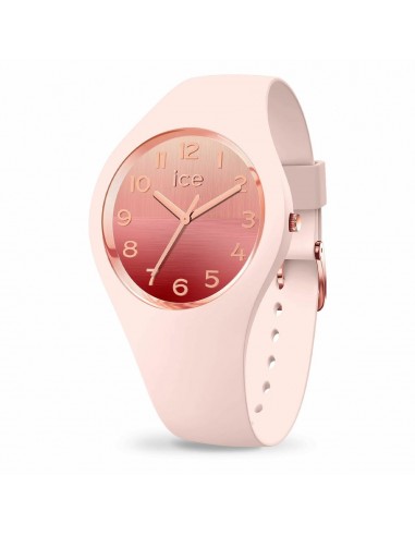 Montre Femme Ice 021361 (Ø 34 mm) la chaussure