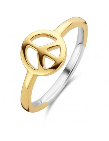 Bague Femme Ti Sento 12222SY/54 14 est présent 