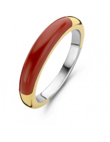 Bague Femme Ti Sento 12230CR/56 16 la colonne vertébrale