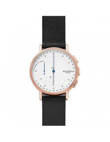 Montre Homme Skagen SIGNATUR À commander