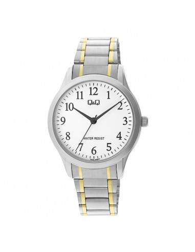 Montre Homme Q&Q C02A-005PY Pour