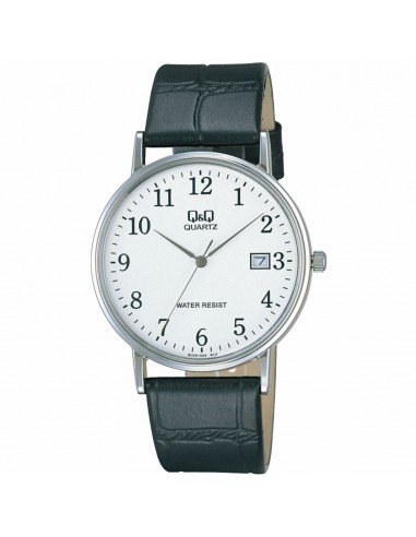 Montre Homme Q&Q BL04J304J Découvrez la collection