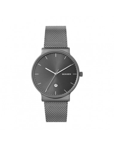 Montre Homme Skagen SKW6432 Gris (Ø 40 mm) Découvrez la collection